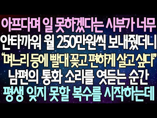 (반전 사연) 아프다며 일 못하겠다는 시부가 너무 안타까워 월 250만원씩 보내줬더니 남편의 통화 소리를 엿듣는 순간 평생 잊지 못할 복수를 시작하는데 /사이다사연/라디오드라마