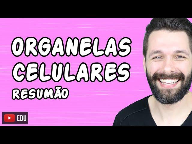 ORGANELAS CITOPLASMÁTICAS - Resumo | Biologia com Samuel Cunha