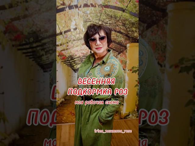СХЕМА ВЕСЕННЕЙ ПОДКОРМКИ РОЗ #иринанаумова #розыиринынаумовой  #подкормкароз  #весенняяподкормкароз