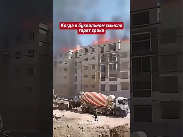 Shailer — это не просто завод. Это бетонный автомат Калашникова