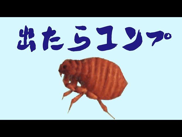 【あつ森】20時間でノミは捕まるのか？虫図鑑コンプートを目指して！