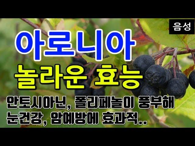 [아로니아 효능] 아로니아의 놀라운 효능, 항산화 폭발! 눈 건강 지키는 비법