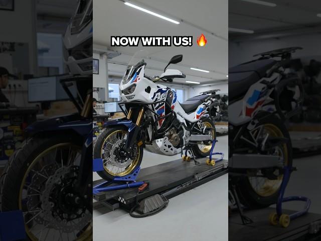 Africa Twin 2024 - from EICMA to our workshop