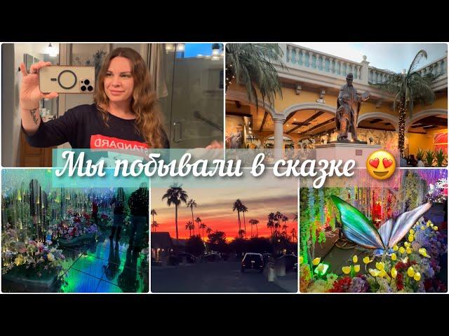 Vlog. Будни со мной #usa #arizona #сша