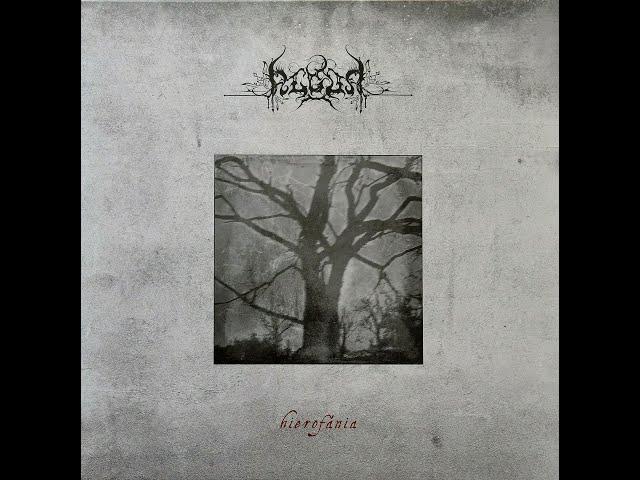 ALGOR - Lesovik