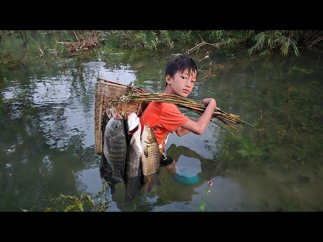 FULL VIDEO 25days Highland boy Khai traps fish, harvests soft-shell turtles and eels to sell.