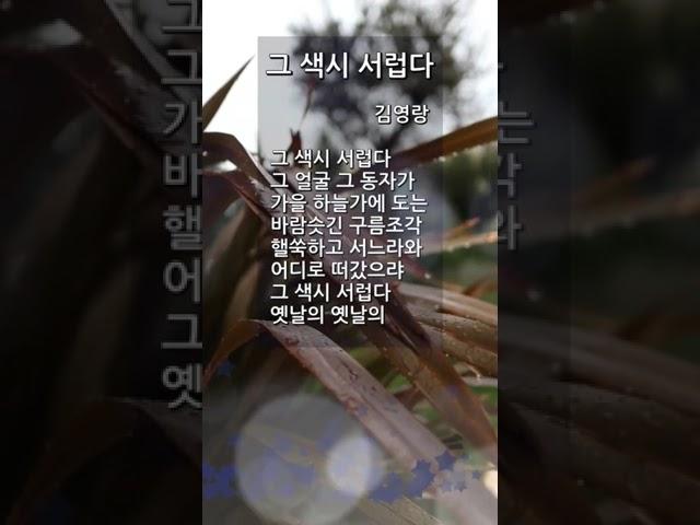그 색시 서럽다  | 김영랑 | 숏츠 | 항일 시인 | 반일 시인 | 자랑스러운 우리나라 민족 저항 시인