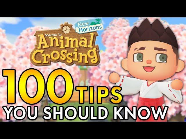 The Only Tips Video You'll Ever Need | ACNH Tips & Tricks