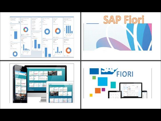 SAP Fiori || 09. Custom App Development || Part 01