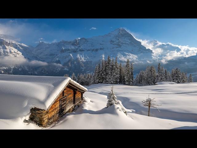 Winter in Switzerland Grindelwald Bussalp Winter Hike 4K