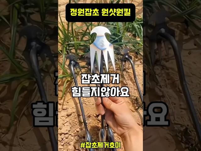 우리집 잡초 해결 이걸로 끝!