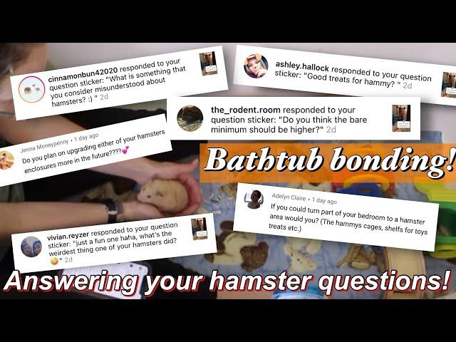 Bathtub Bonding w/ Rhino & Chandler + Hamster Q&A!