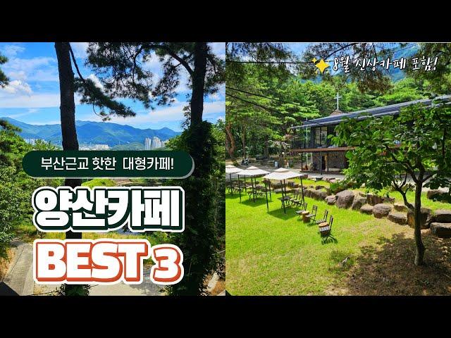 Yangsan Cafe near Busan ｜The best3 that's hot these days｜Busan travel