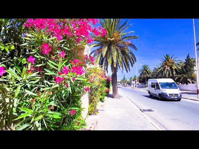 Discover The Beauty Of Kelibia In 4k - A Visual Walking Tour