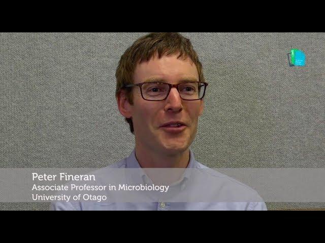 Science Media SAVVY Express: Peter Fineran - Immune system in bacteria