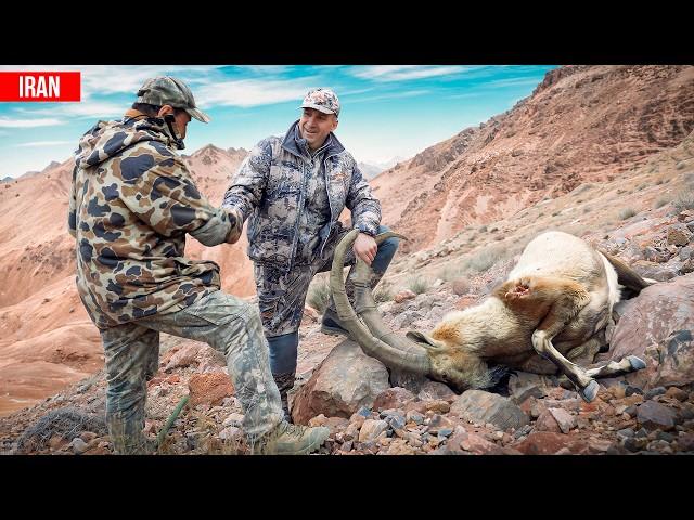 Iran Trophy Hunting 3: Southern Desert Ibex & Isfahan Mouflon [4K] #trophyhunting