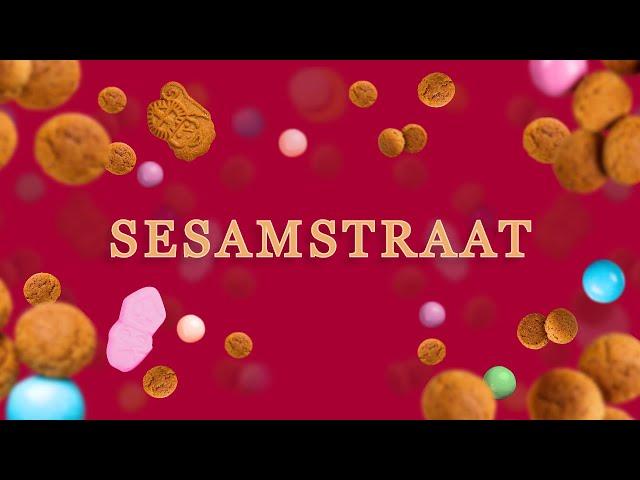 Sinterklaas in Sesamstraat • Intro