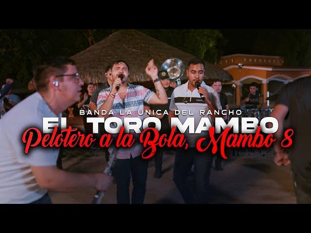 El Toro Mambo, Pelotero A La Bola, Mambo 8 - Banda La Única Del Rancho