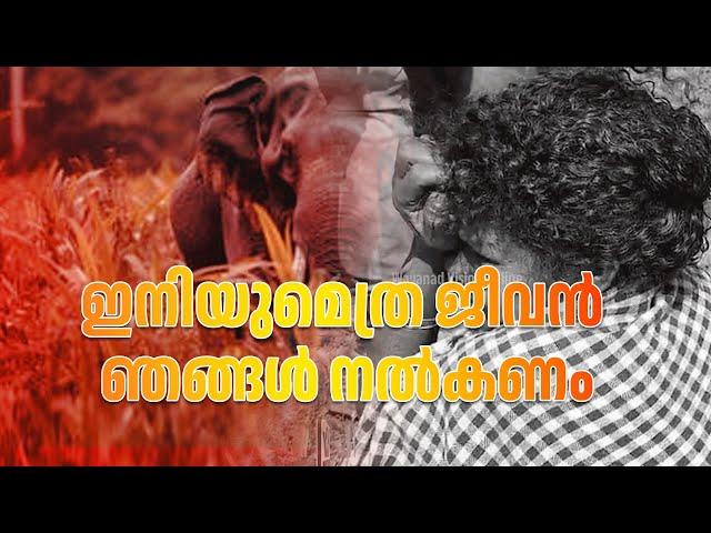 ഇനിയുമെത്ര ജീവന്‍ ഞങ്ങള്‍ നല്‍കണം..വയനാട്ടില്‍ ജീവനെടുത്ത് കാട്ടാന