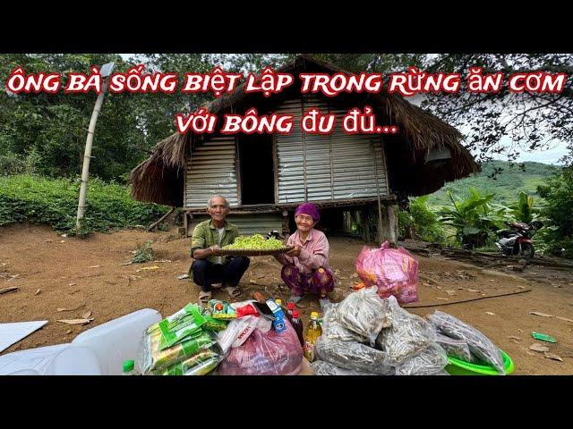 ÔNG BÀ 77 tuổi sống lủi thủi trong RỪNG...ăn cơm với bông đu đủ.../243