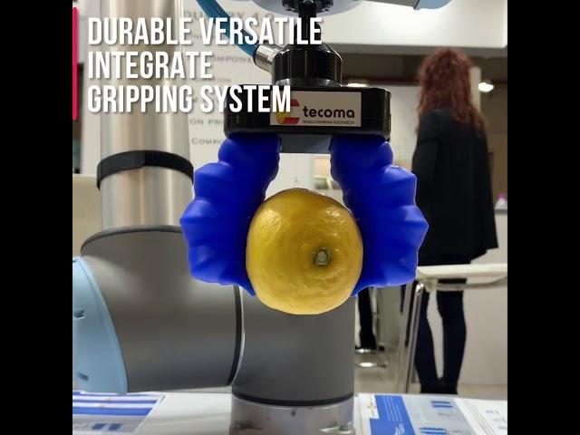 HANDLING WITH SOFT ROBOTICS