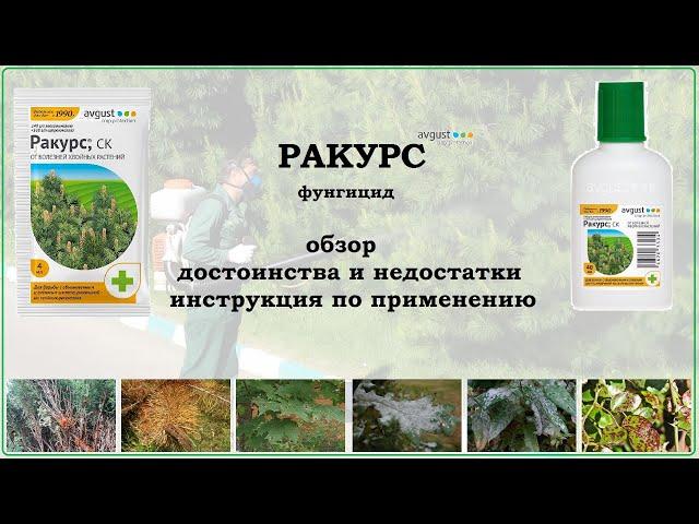 Средство от болезней хвойных культур - Ракурс (обзор)