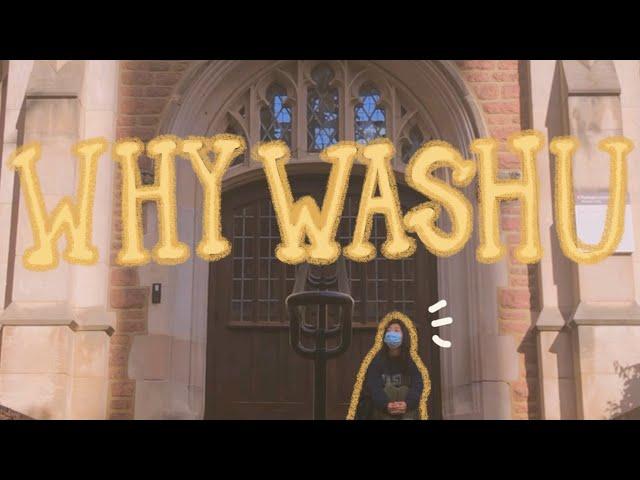 why I chose WashU ( & why you should too)