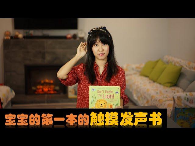 宝宝的第一本书：触摸发声洞洞书 ｜ Usborne 发声书 Don't Touch The Lion