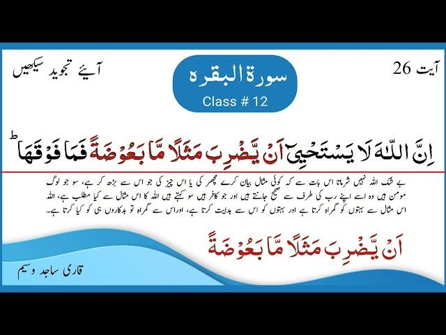 Surah Al-Baqarah with Tajweed class # 12|سورۃ البقرہ | Part 12 (Ayat 26) | Learn Quran with Tajweed