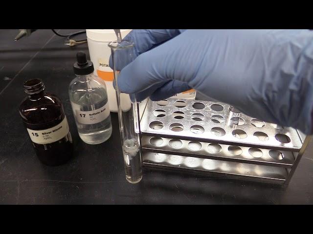 Silver Nitrate Test