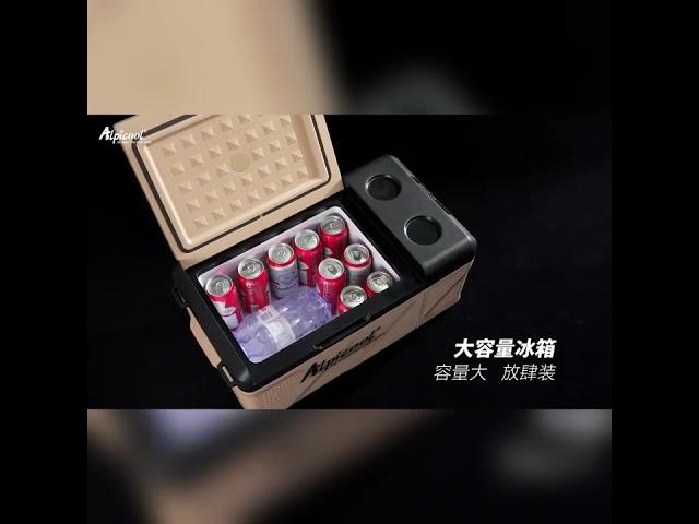 12V 24V 220V 차량용 냉장고 냉동 냉장 트럭 휴대용 이동식 냉장고