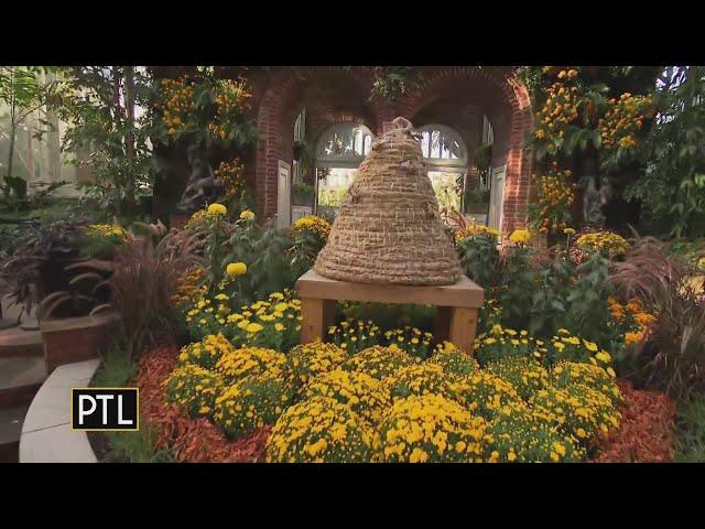 A Hometown Harvest at Phipps Conservatory for the Fall Flower Show