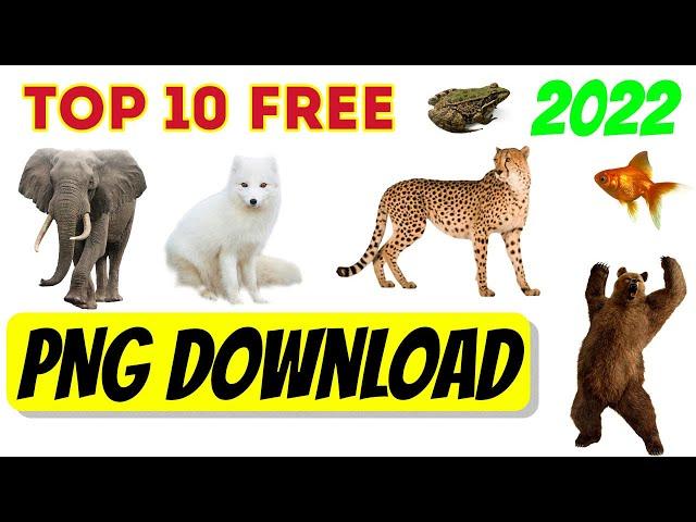 Top 10 Free PNG Download Websites Update 2022 | Free Transparent Image