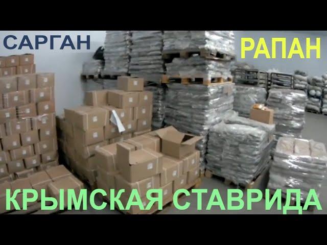 САРГАН МЯСО МОЛЛЮСКА РАПАНА ХАМСА СТАВРИДА / рыба и морепродукты / РЫБНЫЙ ПУТЬ