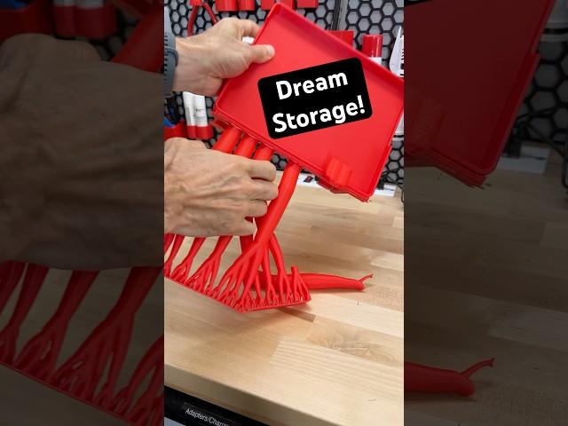 3D Printed Dream Storage 
