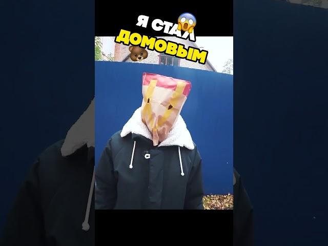  Я СТАЛ ДОМОВЫМ В РЕАЛЬНОЙ ЖИЗНИ 14