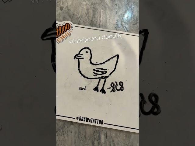 whiteboard doodle #bird #art