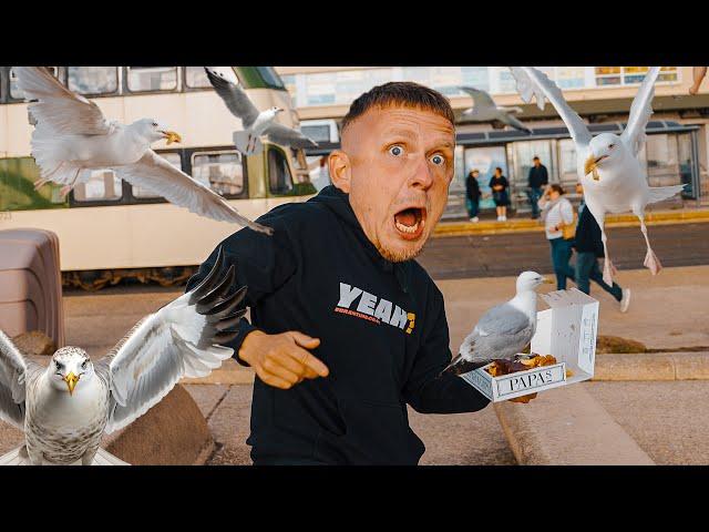 Attacked By Seagulls While Eating Fish & Chips in Blackpool