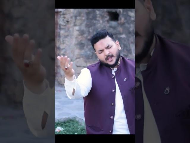 Jo Haider as ki ziarat horahi hai #johaiderkiziarathorahihai #husnainalishahnohay #new2025 #manqabat