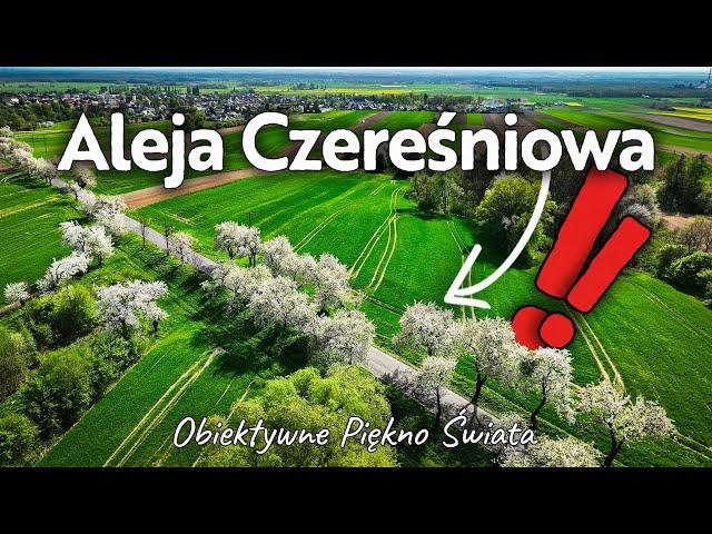 Piękna Polska!  Aleja Czereśniowa 