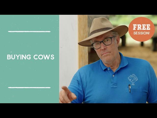 Tips on Buying Cattle | Free Session from Joel Salatin's Farm Like A Lunatic Masterclass