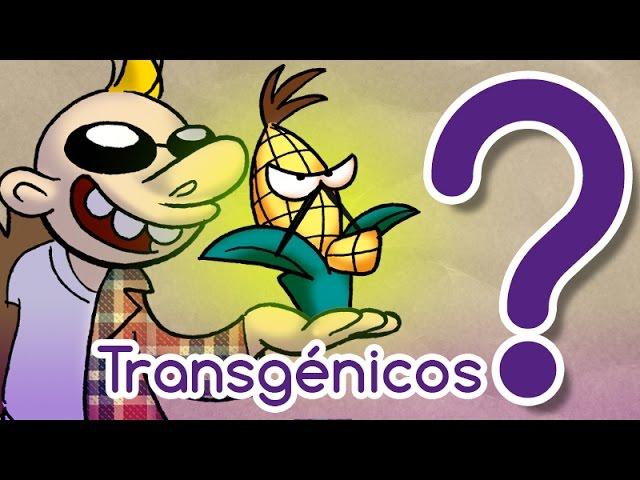 Are transgenics dangerous? - Curiosamente S3E18