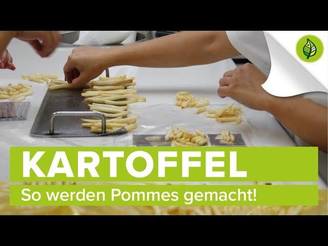 So werden Pommes gemacht!