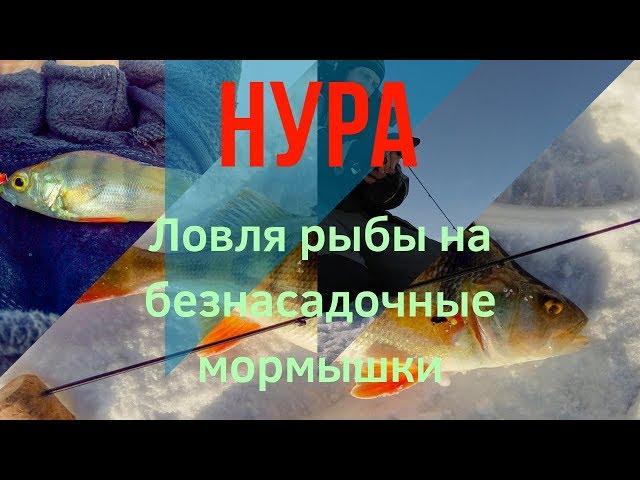 Нура. Первая рыбалка в феврале. #БЕЗМОТЫЛКА