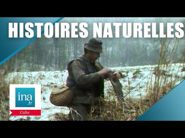 Histoires Naturelles, le magazine culte des insomniaques | Archive INA