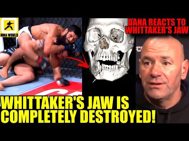 MMA Community React to Khamzat Chimaev SHATTERING Robert Whittaker's Jaw, Ilia NEW BMF?,Max Holloway