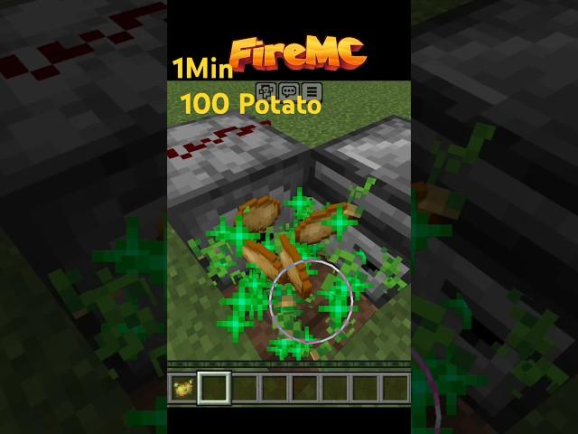 World's Tiniest Potato Farm!#minecraft #firemc