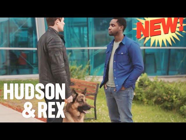 Hudson & Rex 2025 Season 7 Today New Episode ‍️ Canadian Tv Show  Popular Police And Crime Movies