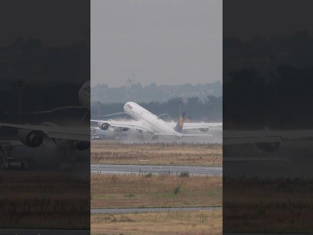 Lufthansa Airbus A340-600! Frankfurt Airport Planespotting #shorts