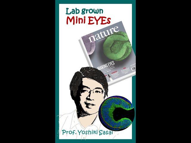 Lab grown mini eyes | Optic cup organoids | Nature | Animated biology with Arpan | Bio facts #shorts